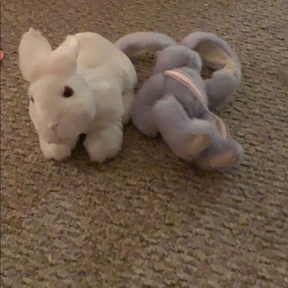 Stuffed animal bunnies